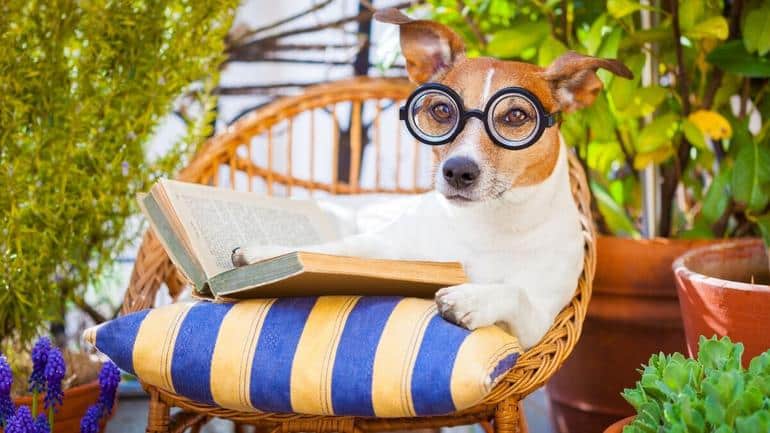 Аудиокниги. Как научиться их слушать и зачем?. Фото №3