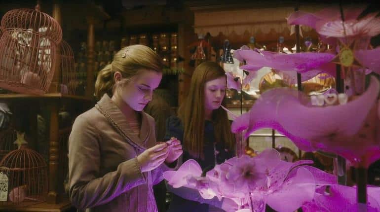 Гарри Поттер: 7 тёмных моментов, на которых заостряешь внимание лишь при прочтении в более взрослом возрасте. Фото №3