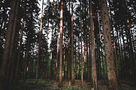 Лучшие аудиокниги в жанре фэнтези. Фото №10