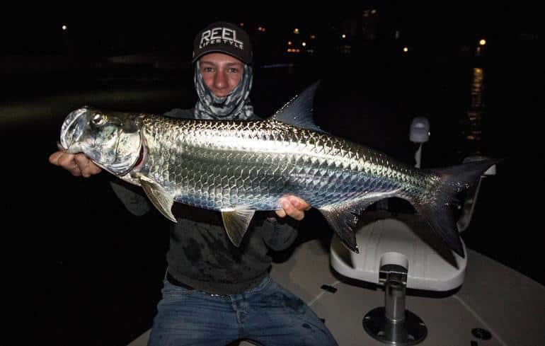 Удивительные и неожиданные функции чешуи рыбы. Фото №11