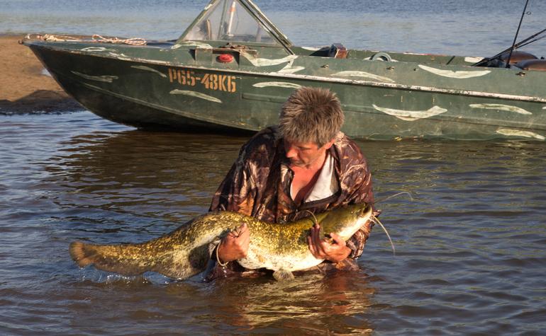 Удивительные и неожиданные функции чешуи рыбы. Фото №3