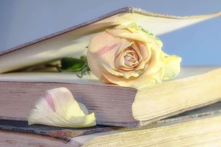 Цитаты из книг и фильмов, которые помогут не сдаться в трудную минуту или после неудачи. Фото №1