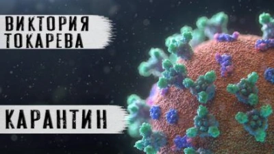 Карантин - Виктория Токарева