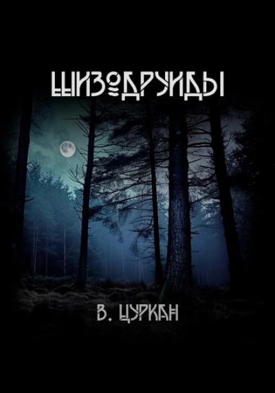 Шизодруиды - Валерий Цуркан