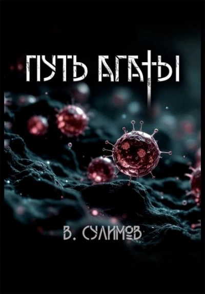Путь Агаты - Владимир Сулимов