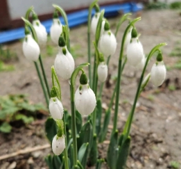 15 научных причин, почему весна — самое восхитительное время года