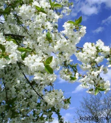 Что почитать весной?